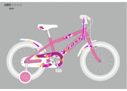 FAST 14" PINK